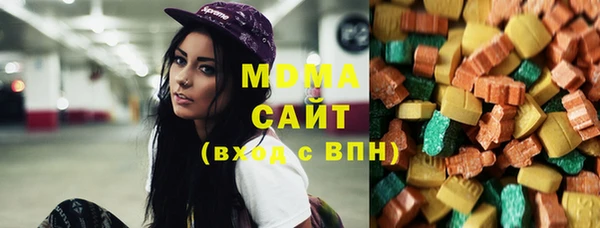 гашик Алексин