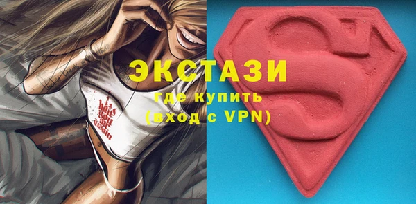 гашик Алексин